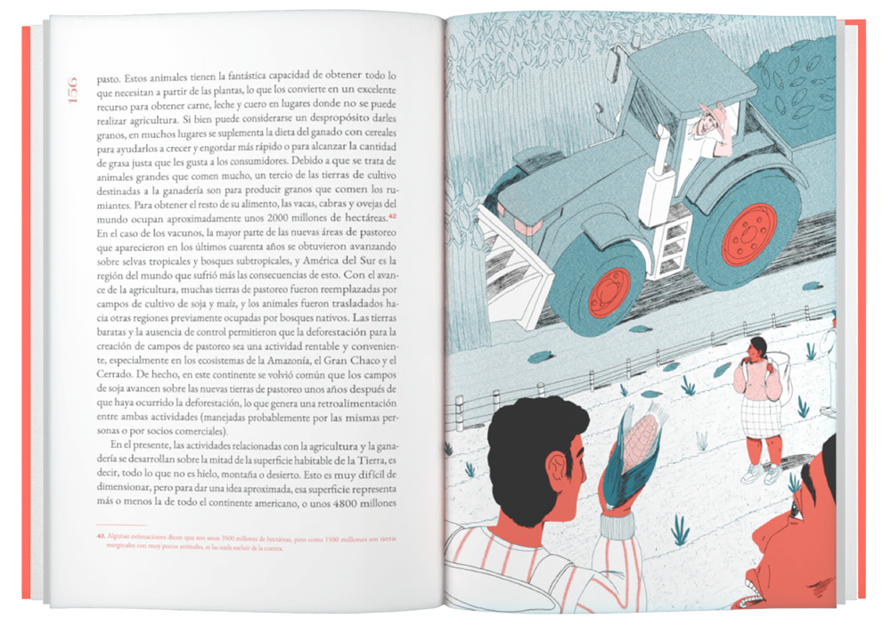 interior del libro